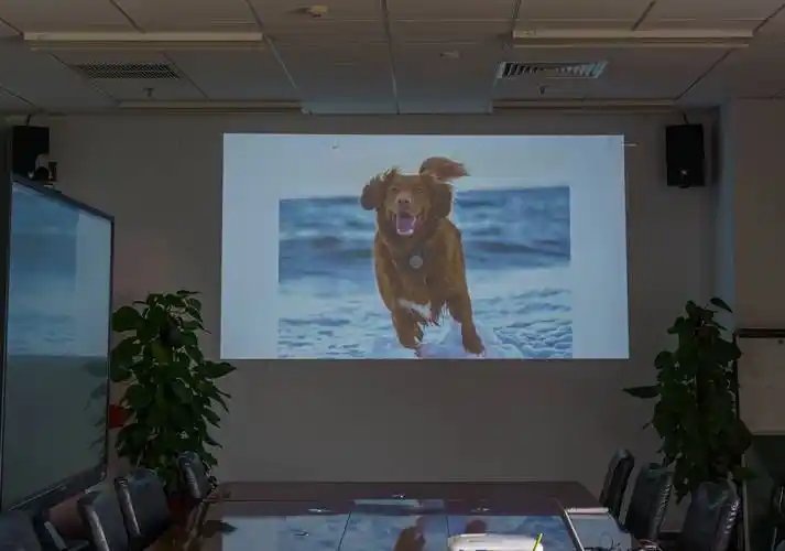 benq 明基e520商用投影仪体验_进行_会议室_接口