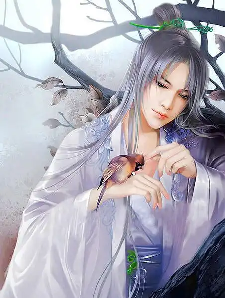 古装动漫长发美男