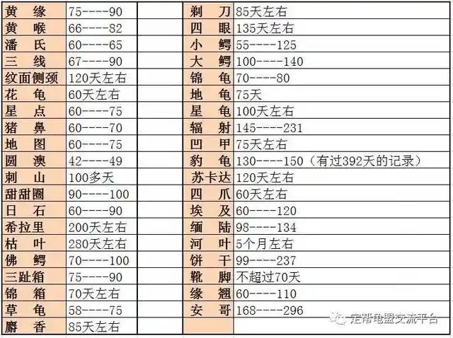 龟类寿命一览表
