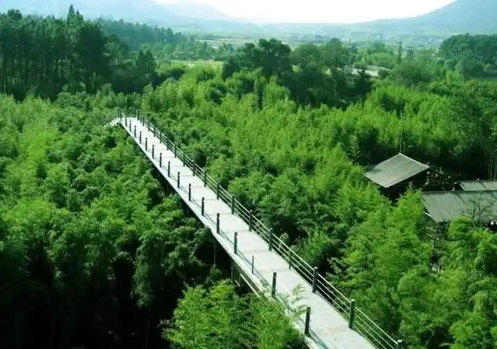 竹博园(中国浙江省安吉县4a级旅游景点)_摘编百科