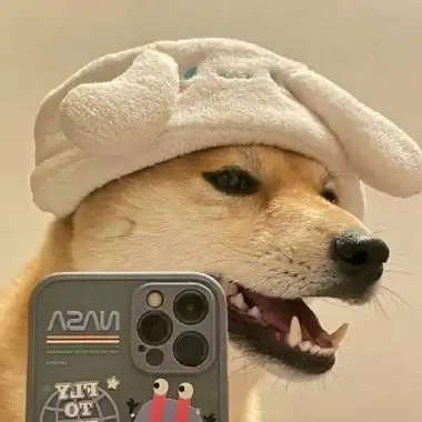 高清自恋狗狗拿苹果手机拍照的照片头像