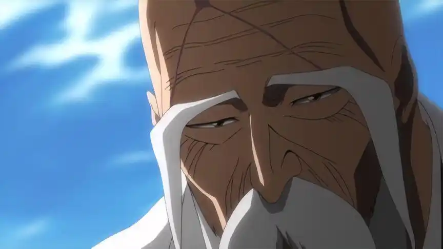 最强翁婿之名由我朽木响河来守护-动漫视频-搜狐视频