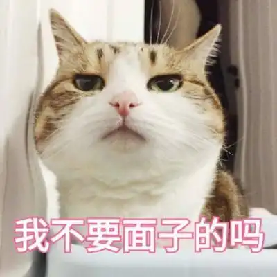 超可爱的猫咪表情包微信头像 二货猫星人的戏精生活