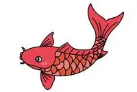 小鲤鱼简笔画图片大全