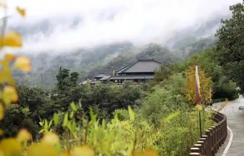 走去鬼谷岭的春天里遛遛自己