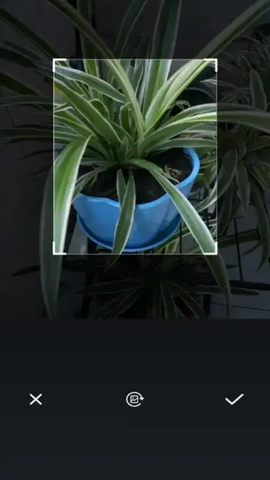 植物扫描辨识无限制版