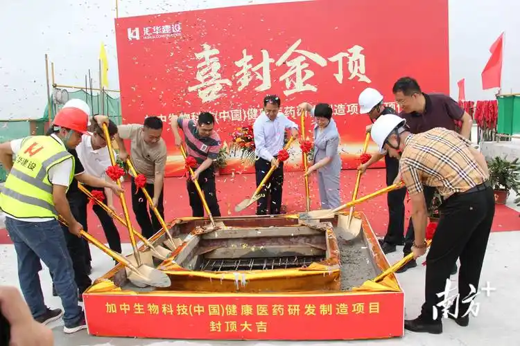 国际合作项目提前3个月封顶,东莞水乡聚焦"效率 质量"