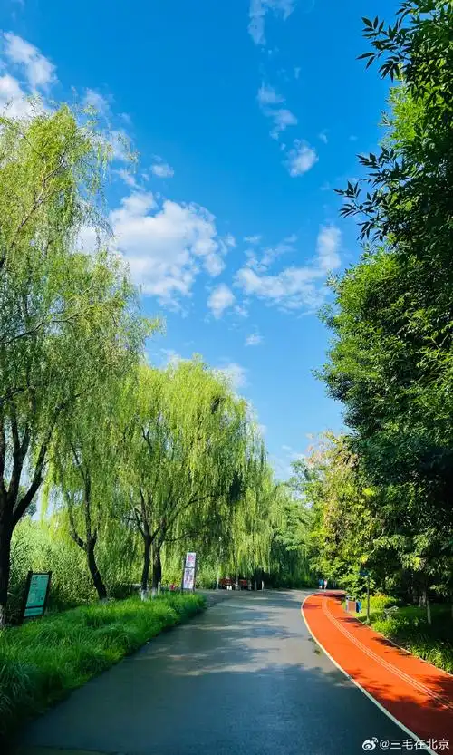 雨后的北京奥林匹克森林公园