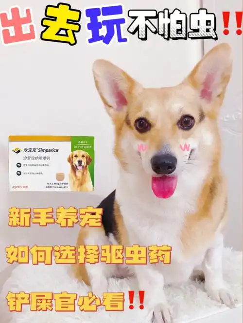 狗狗驱虫我用小欣肝