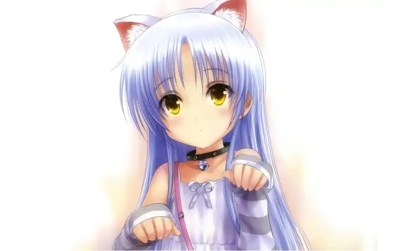 q版猫耳娘立华奏