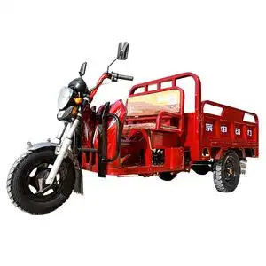 女士助力型三轮摩托车 燃油110c--200cc女装麻木三轮摩托车 货运