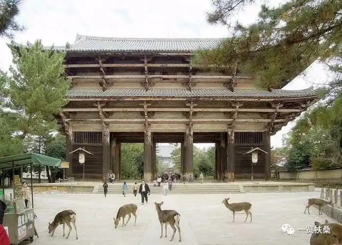 东大寺的宋代建筑潮流