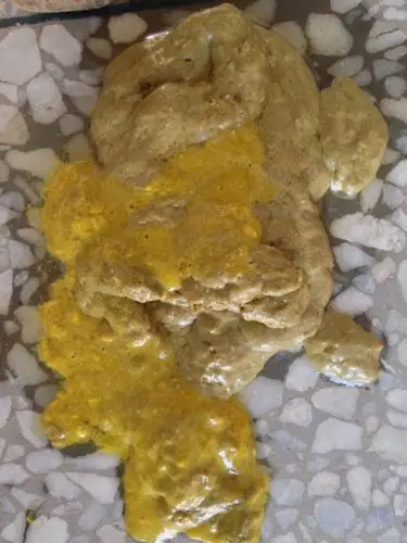 现在七个半月,秋季腹泻刚刚好,但是每天大便都有奶瓣,2到3次