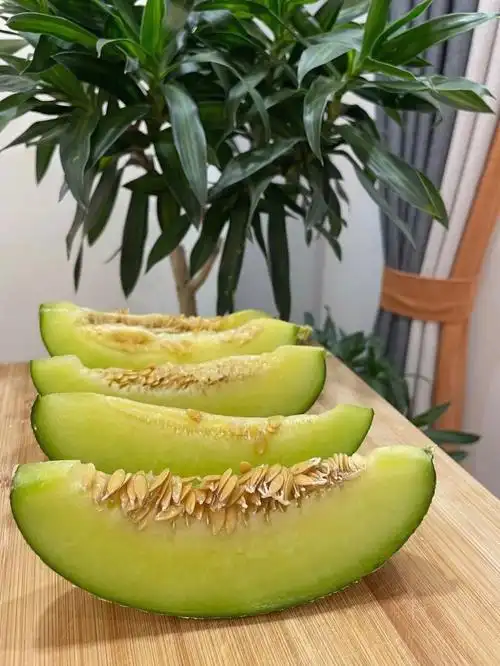 90海南玫珑瓜,玫珑瓜真是瓜届王者,可以用勺子02挖着吃,也可以