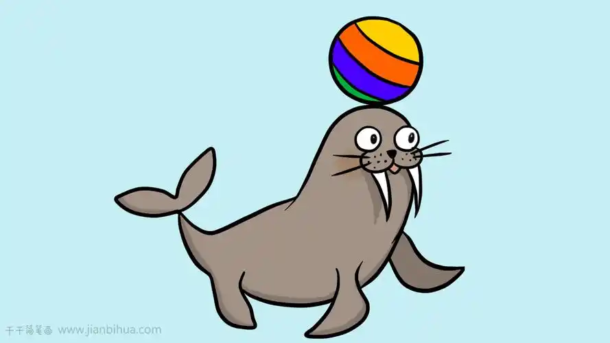 海豹简笔画图片教程_海洋动物简笔画