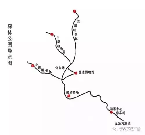 103761六盘山国家森林公园开园迎客啦!_景区