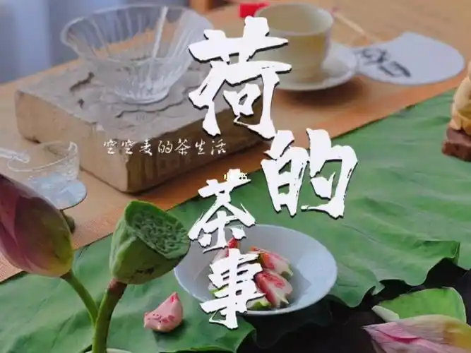 关于荷的茶事荷花茶续章