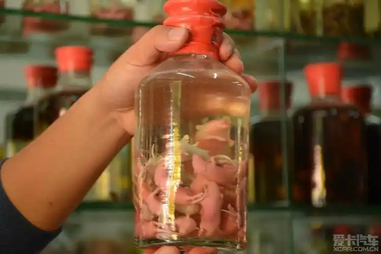 用来吃的,不是大家想象中的恐怖广东菜式"三叫鼠",其实也是用来泡酒的