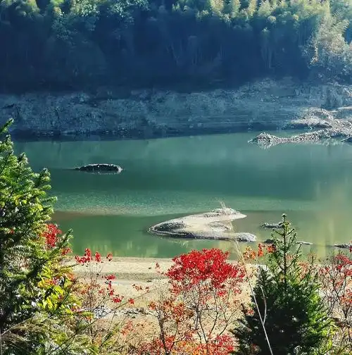 七绝游九峰水库