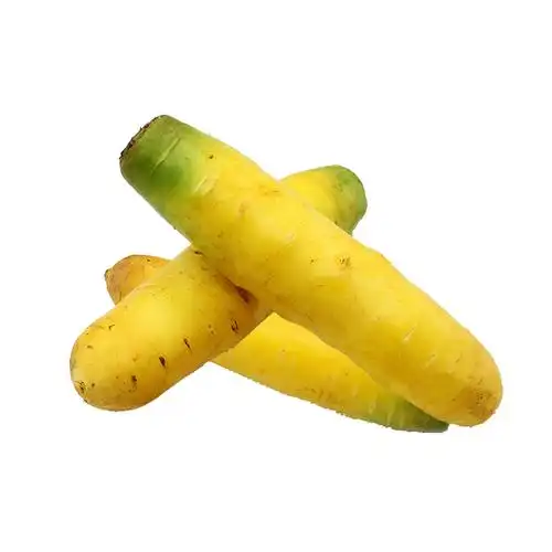 黄萝卜新鲜胡萝卜山西今年新货5斤