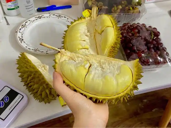 60元3斤的小榴莲皮薄如纸