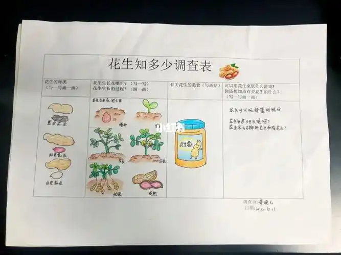 花生的成长过程