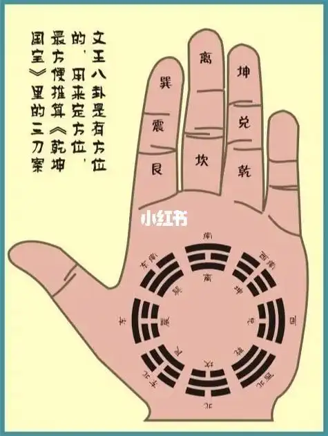 (李向东)九宫八卦和五行是怎样划分手掌的赤秋