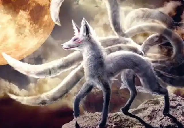 心理测试:你觉得哪只狐狸最诡异?测出你今生会有几个最爱的人