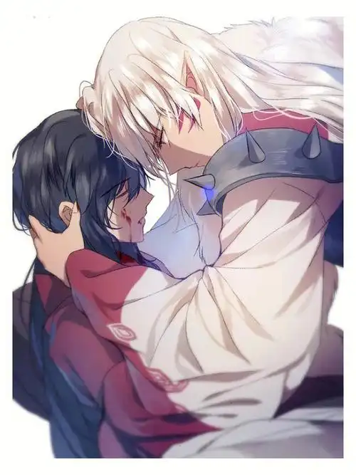 犬夜叉和杀生丸兄弟俩都好帅7t