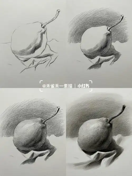 素描静物素描梨的绘画步骤