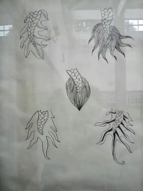 龙尾简笔画简单 简笔画图片大全-普车都