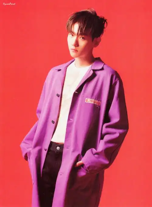 芭兰歌林代言人边伯贤