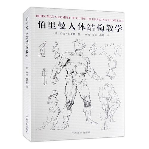 著作 晓鸥  辛昕 小野  译者 绘画技法入门 初学自学画法教程 广西