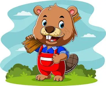 服务  微笑木匠海狸拿着板做房子插画