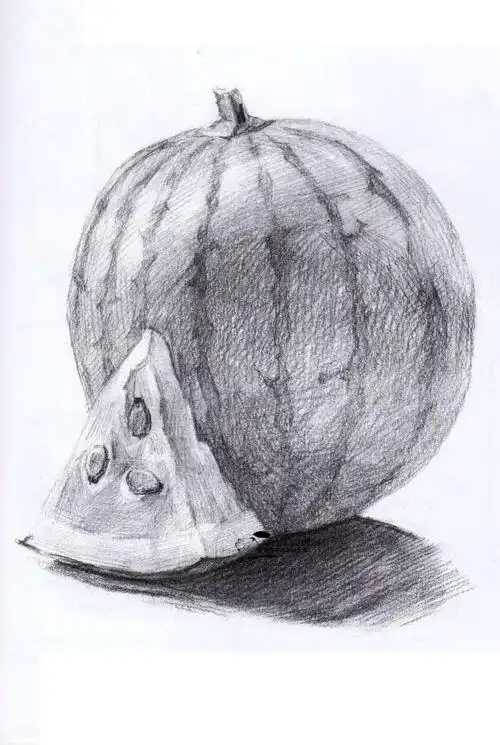 小素描花卉西瓜