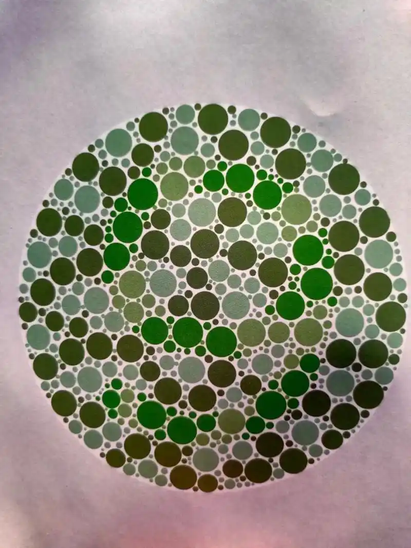 考驾照色盲色弱测试图全攻略 亲爱的学员们,注意啦!