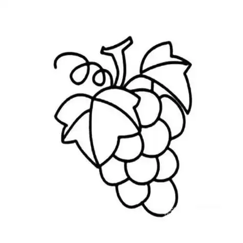 葡萄简笔画葡萄简笔画图片