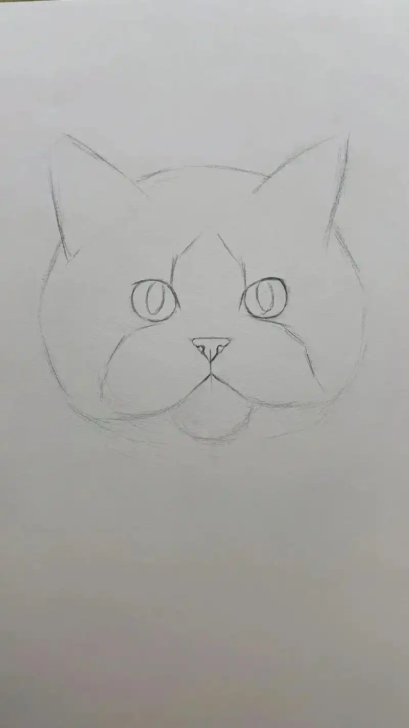 素描动物 #猫咪#炭笔画  - 抖音