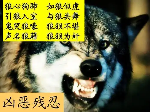 无忧文档 所有分类 小学教育 语文 14_鹿与狼的故事ppt 狼心狗肺 引狼