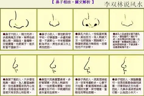 长这种鼻子的人将来必定会富贵荣华