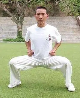 站桩对很多疾病的康复有神奇效果