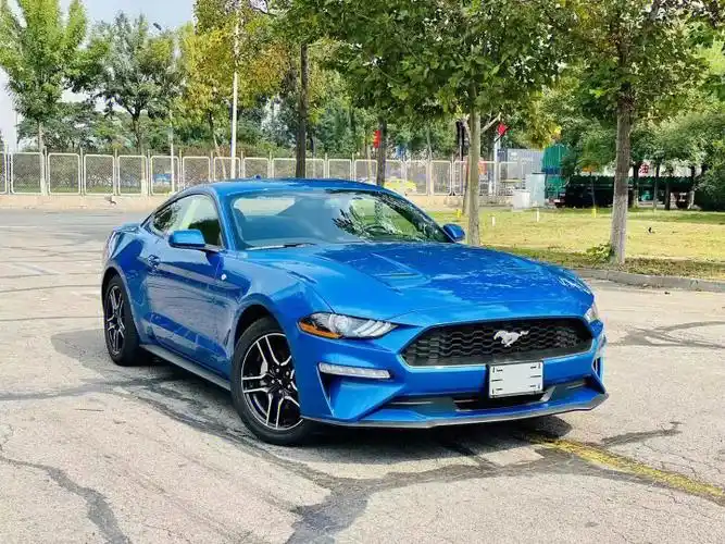 318万加版小野马23t