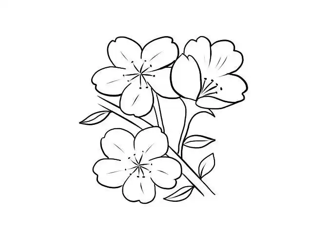 樱花简笔画