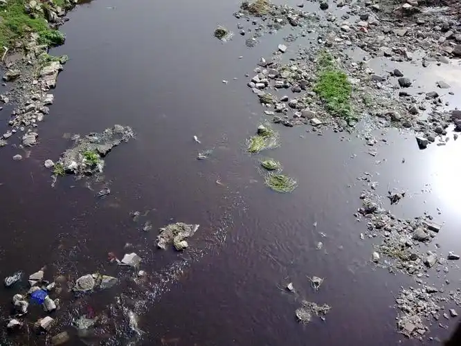 被污染的河水