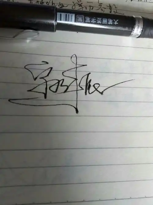 求一个一笔签名设计 最好有动态图片 可以看出怎么写的,谢谢!