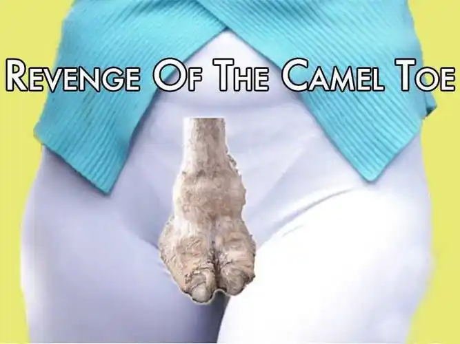 瑜伽裤骆驼脚趾满天飞扬笔名杨晓东藏王实名杨晓东