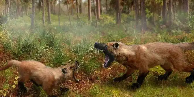 史前:羊的祖先,居然是恐怖的食肉动物?