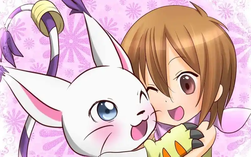 数码宝贝八神嘉儿插曲改编光芒与希望