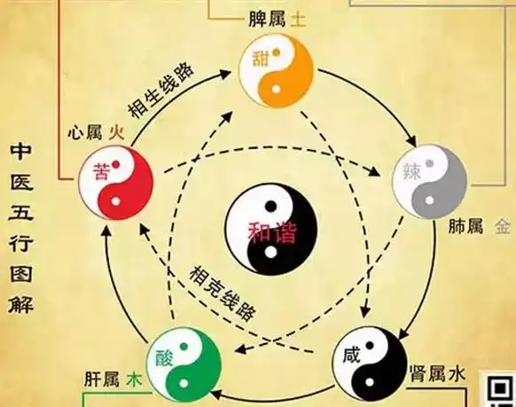什么是五行?什么叫五色,五味,五脏,五宫,五情,五行,我来解 - 抖音