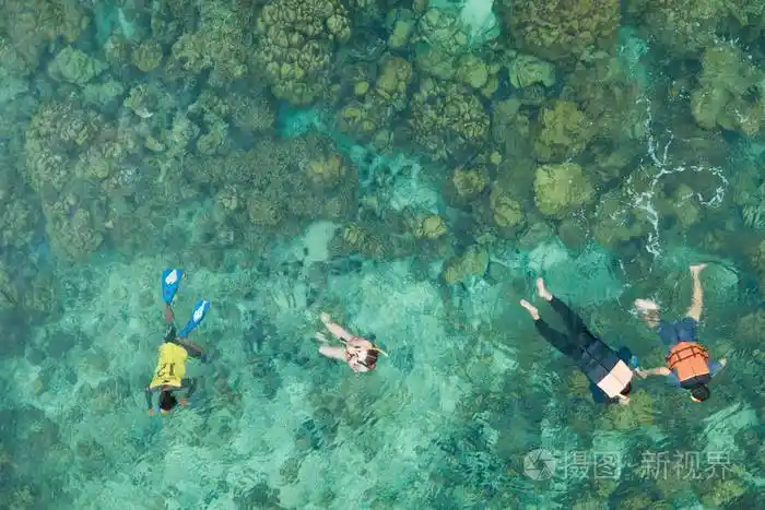 一群游客在蓝海游泳.浮潜在全脸浮潜面罩.浅海的珊瑚礁.浮潜海底.